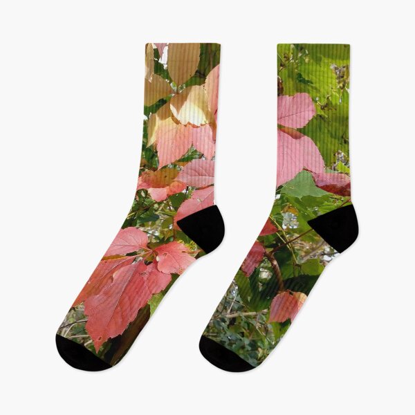 Item preview, Virginia creeper leaves in the autumn close up original artwork designed and sold by paragonDesign28.