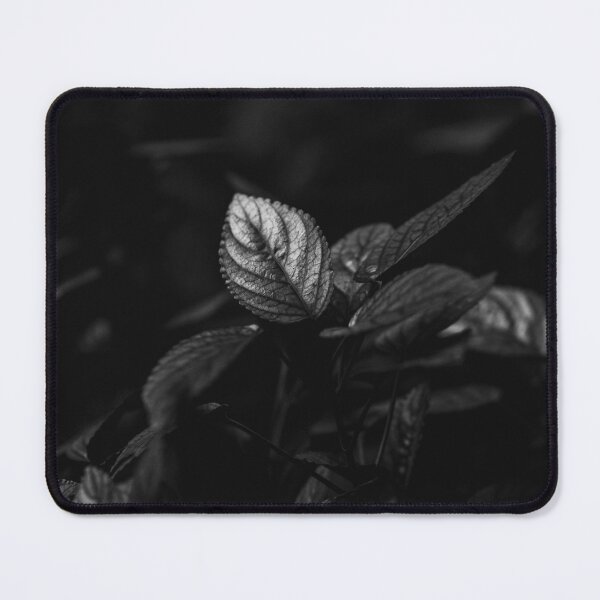 Item preview, Black and White Persian Shield Leaves designed and sold by Maaolena.