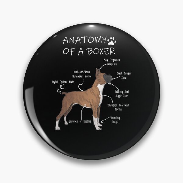 Artikelvorschau, Anatomie eines Boxers entworfen und verkauft von Petensity.