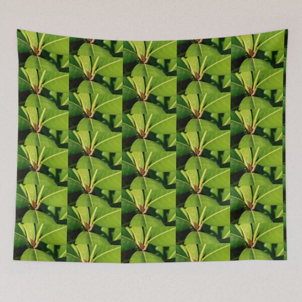 Item preview, Bud of flower designed and sold by ElinorMareeJack.