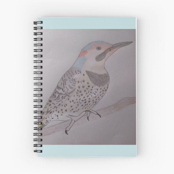 Item preview, Northern Flicker Sketch designed and sold by JustCass81.