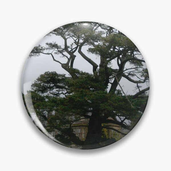 Item preview, Big Tree in front of Muckross House designed and sold by Calidris Fotografie Steffi & Ben Köppler.