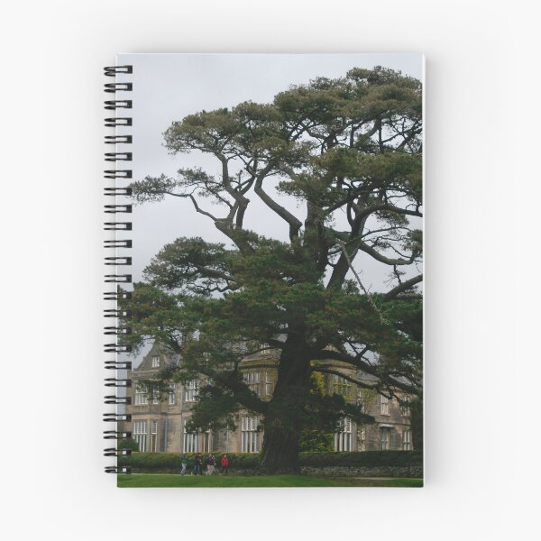Item preview, Big Tree in front of Muckross House designed and sold by Calidris Fotografie Steffi & Ben Köppler.