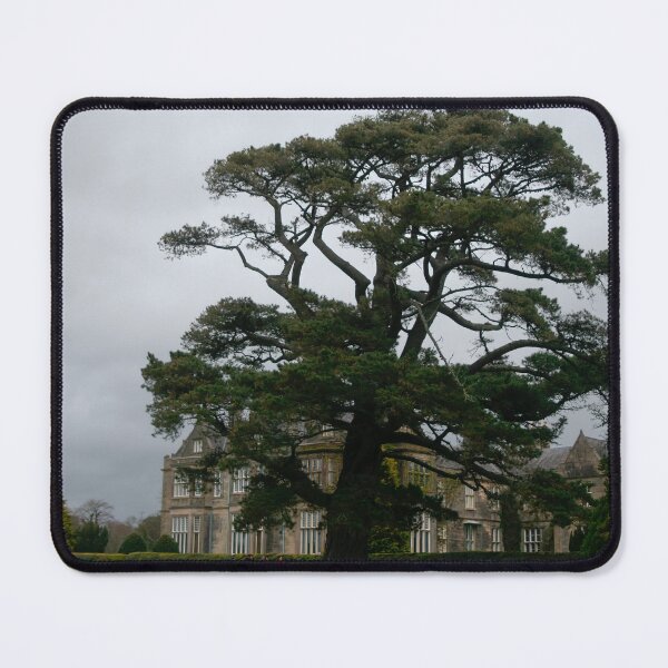Item preview, Big Tree in front of Muckross House designed and sold by Calidris Fotografie Steffi & Ben Köppler.