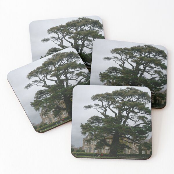 Item preview, Big Tree in front of Muckross House designed and sold by Calidris Fotografie Steffi & Ben Köppler.