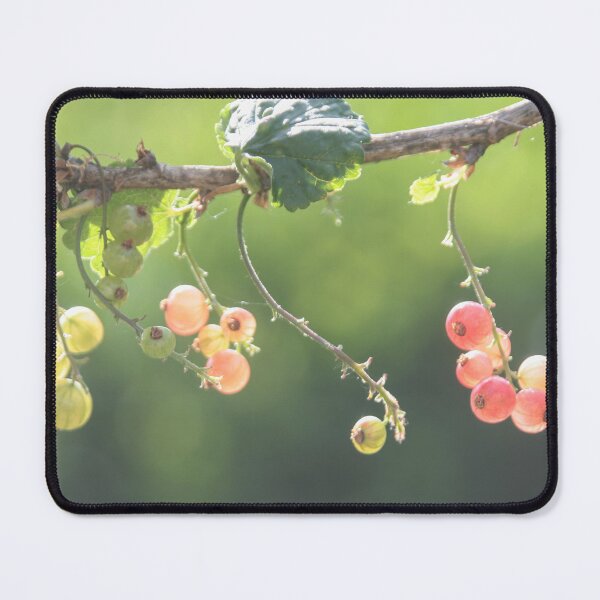 Item preview, The Currants turn red! designed and sold by Calidris Fotografie Steffi & Ben Köppler.