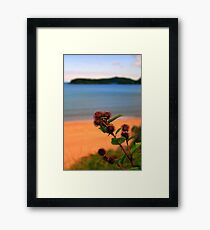 Gruinard Bokeh Framed Print