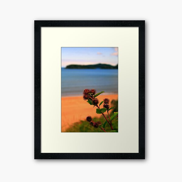 Gruinard Bokeh Framed Art Print