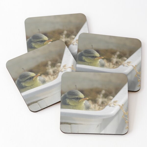 Item preview, Blue Tit Baby 1 designed and sold by Calidris Fotografie Steffi & Ben Köppler.