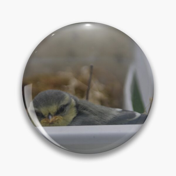Item preview, Blue Tit Baby 2 designed and sold by Calidris Fotografie Steffi & Ben Köppler.