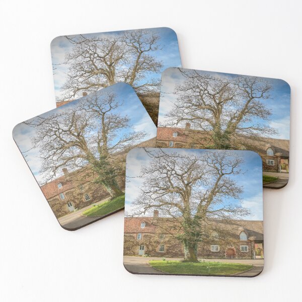 Item preview, The Oak Tree at Hethe designed and sold by Viv Thompson Photography .