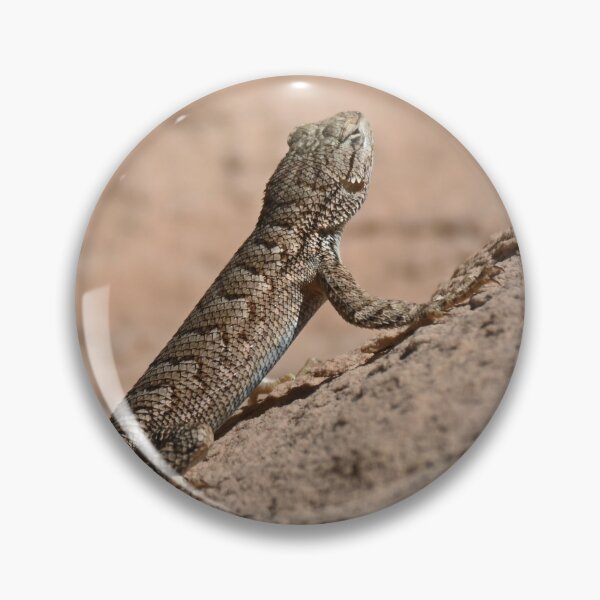 Item preview, Desert spiny lizard designed and sold by krystalAnn19.