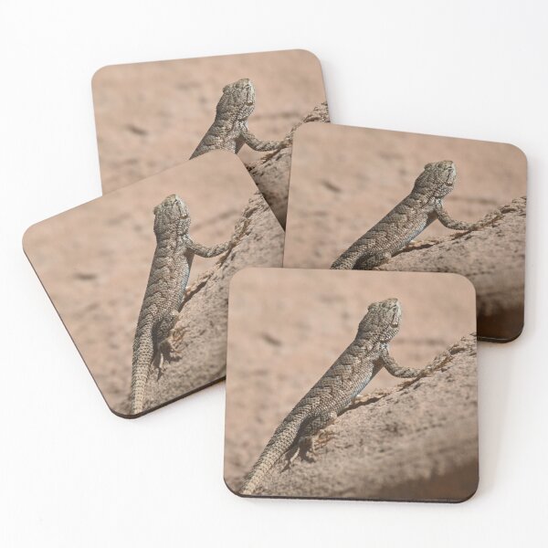 Item preview, Desert spiny lizard designed and sold by krystalAnn19.