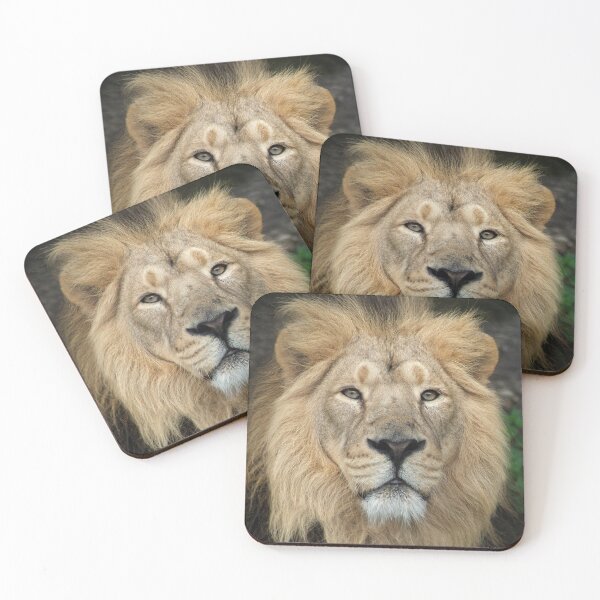 Item preview, Asiatic Lion designed and sold by Bernard Rose.
