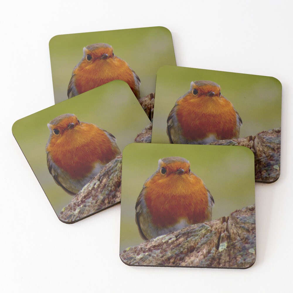 Item preview, Coasters (Set of 4) designed and sold by Ribster13.