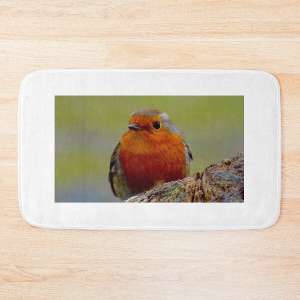 Item preview, Robins  designed and sold by Ribster13.