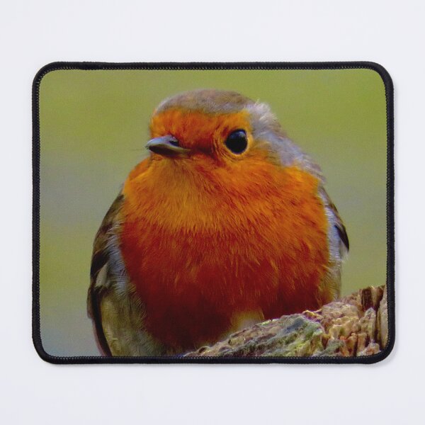 Item preview, Robins designed and sold by Ribster13.