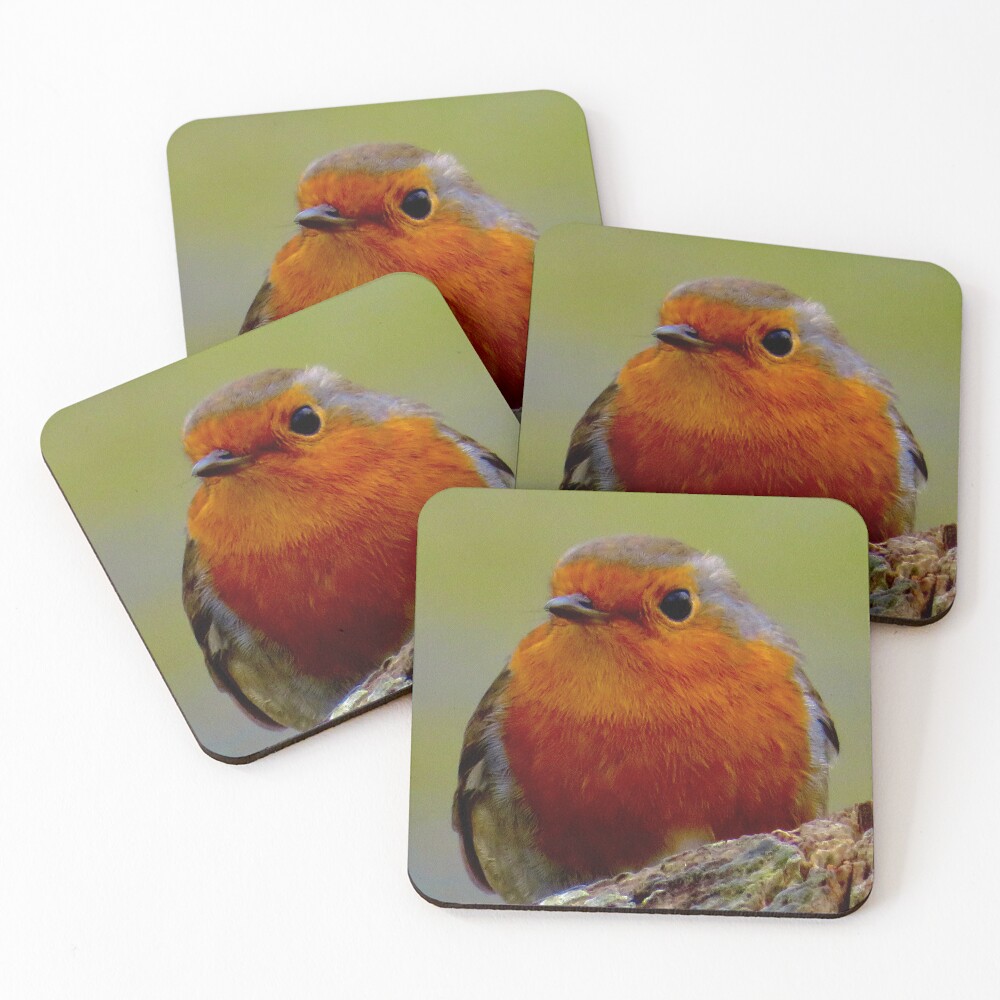 Item preview, Coasters (Set of 4) designed and sold by Ribster13.