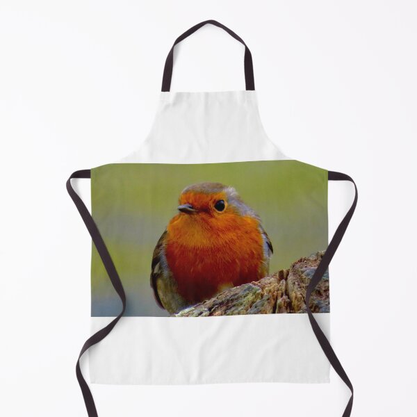 Item preview, Robins designed and sold by Ribster13.