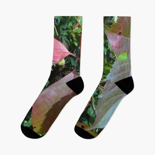 Item preview, Virginia creeper leaves in the autumn close up original artwork designed and sold by paragonDesign28.