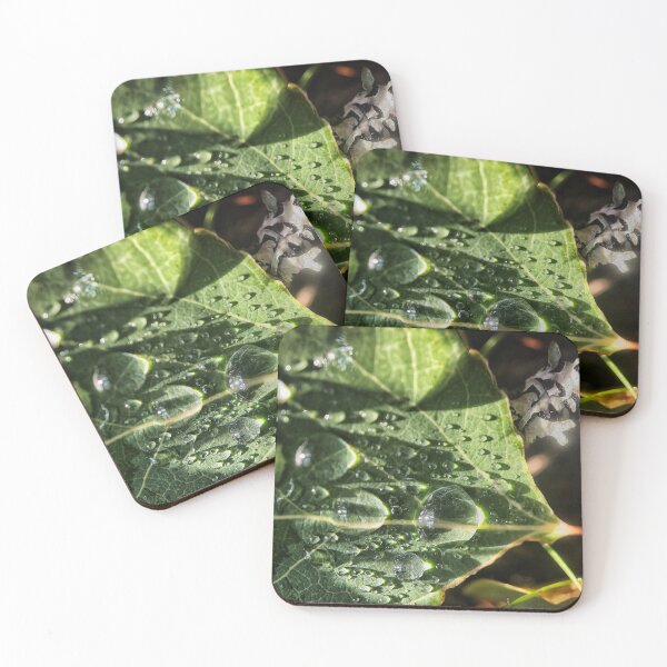 Item preview, Leaf Drops designed and sold by Jason Tompkins.
