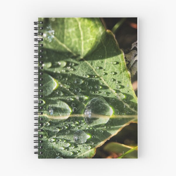 Item preview, Leaf Drops designed and sold by Jason Tompkins.