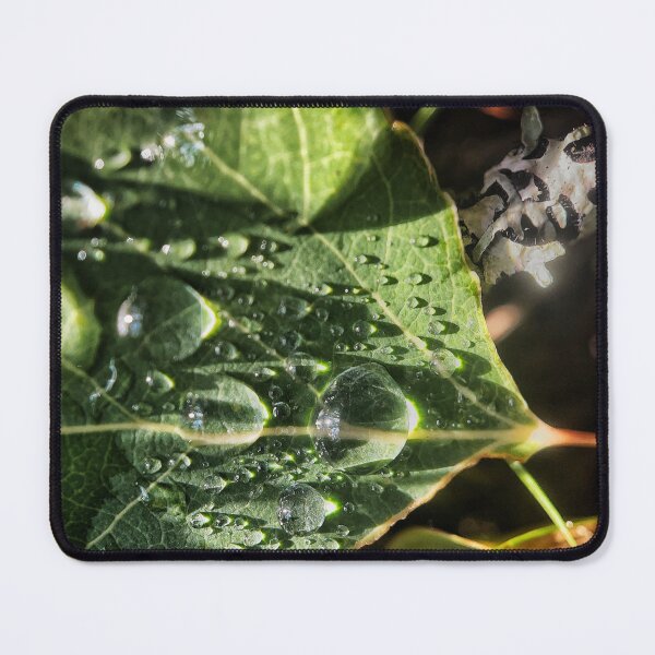 Item preview, Leaf Drops designed and sold by Jason Tompkins.