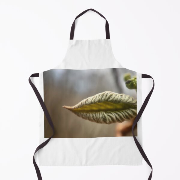 Item preview, Notice Me designed and sold by Jason Tompkins.
