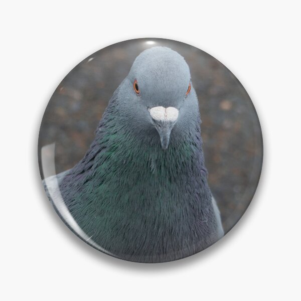 Item preview, The Patient Pigeon designed and sold by GingerMan2550.