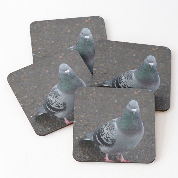 Item preview, The Patient Pigeon designed and sold by GingerMan2550.