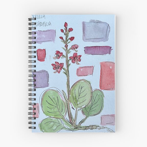 Item preview, botanical no. 12 designed and sold by MKLaverick.