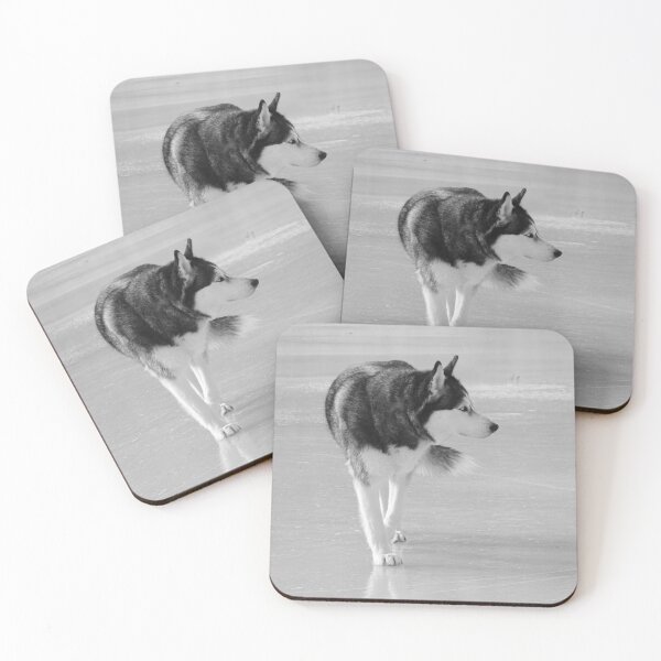 Item preview, Siberian Husky Dog Walks on Ice Black and White designed and sold by myhuskymax.