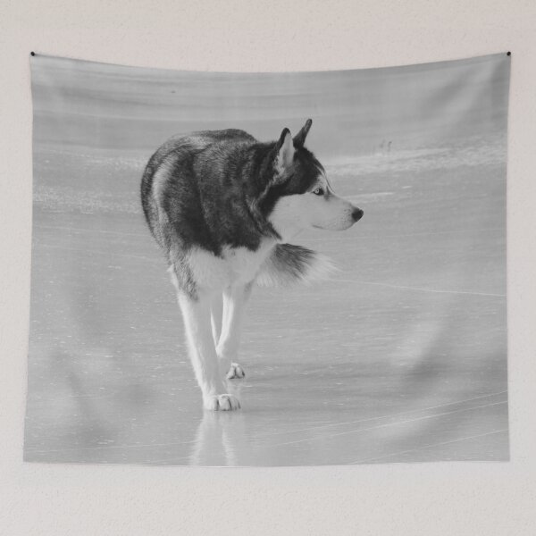 Item preview, Siberian Husky Dog Walks on Ice Black and White designed and sold by myhuskymax.