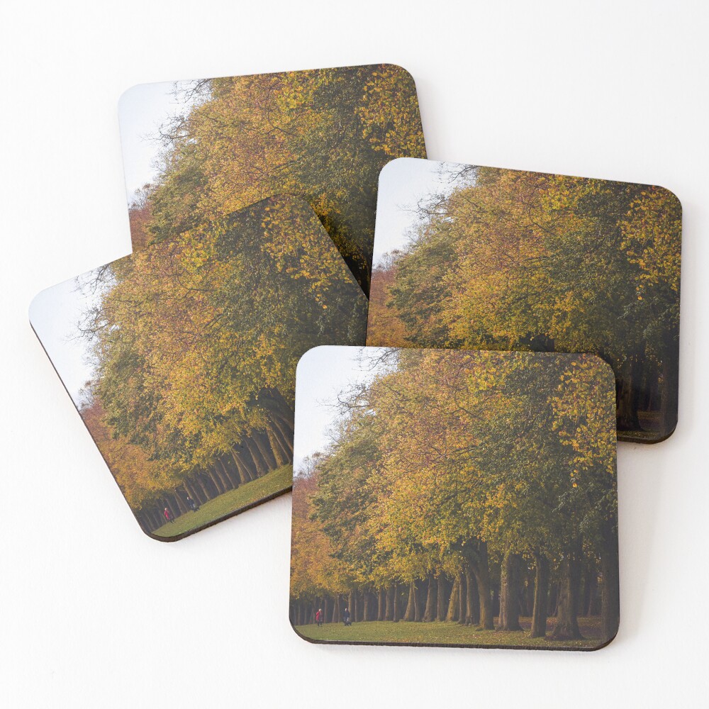 Item preview, Coasters (Set of 4) designed and sold by pixiejocake.