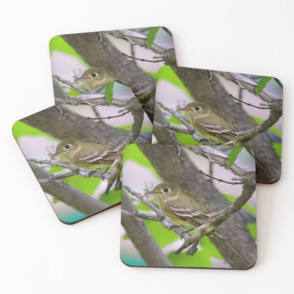 Item preview, Cordilleran Flycatcher #1 designed and sold by Ken McElroy.