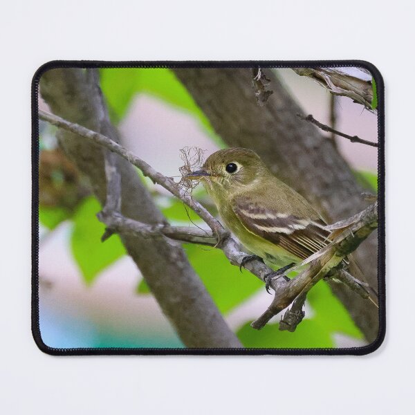 Item preview, Cordilleran Flycatcher #1 designed and sold by Ken McElroy.