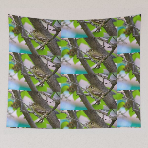 Item preview, Cordilleran Flycatcher #1 designed and sold by Ken McElroy.