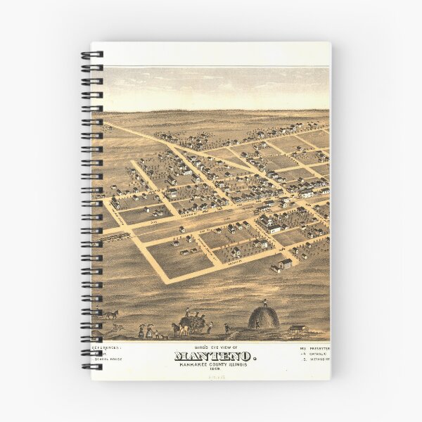 Item preview, Aerial View of Manteno, Illinois (1869) designed and sold by allhistory.