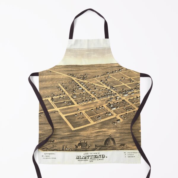 Item preview, Aerial View of Manteno, Illinois (1869) designed and sold by allhistory.
