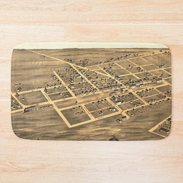 Item preview, Aerial View of Manteno, Illinois (1869) designed and sold by allhistory.