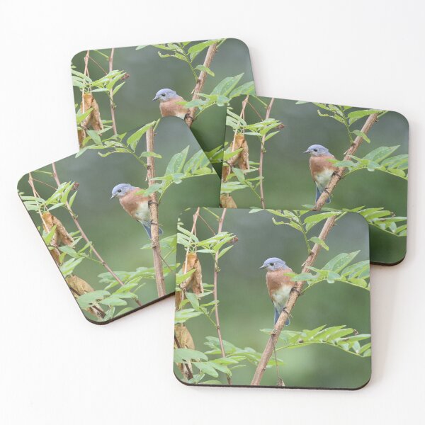 Item preview, Bluebird in a Tree designed and sold by LisaNaturePhoto.