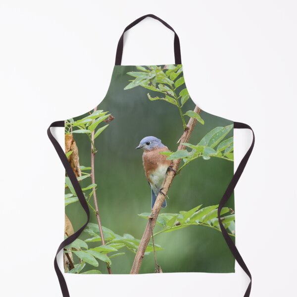 Artikelvorschau, Drossel in einem Baum entworfen und verkauft von LisaNaturePhoto.