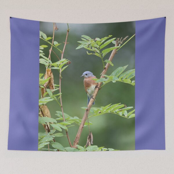 Item preview, Bluebird in a Tree designed and sold by LisaNaturePhoto.