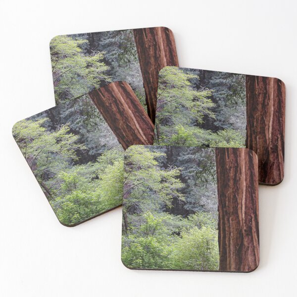 Item preview, The Silence of Redwoods designed and sold by Ken McElroy.