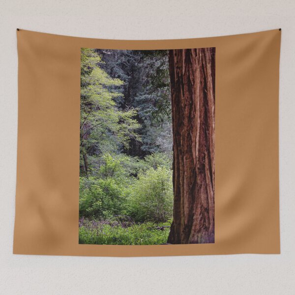 Item preview, The Silence of Redwoods designed and sold by Ken McElroy.