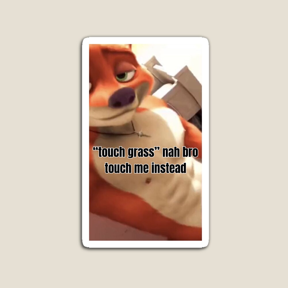 touch grass nah bro touch me instead