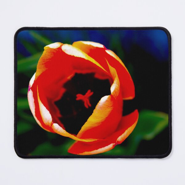 Item preview, Tulips Desire designed and sold by Lovelymolly88.