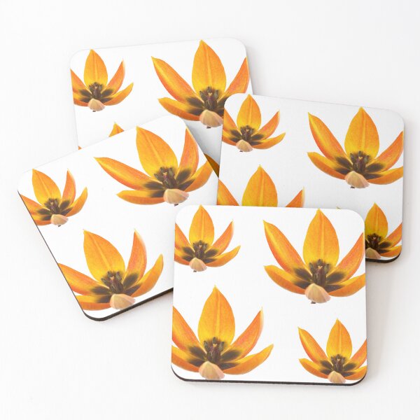 Item preview, Tulips designed and sold by Chris Burrows.