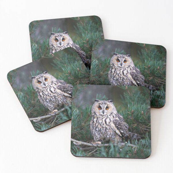 Item preview, Long Eared Owl designed and sold by RedGrouse.