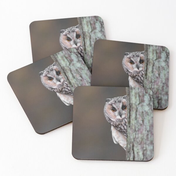 Item preview, Long Eared Owl designed and sold by RedGrouse.